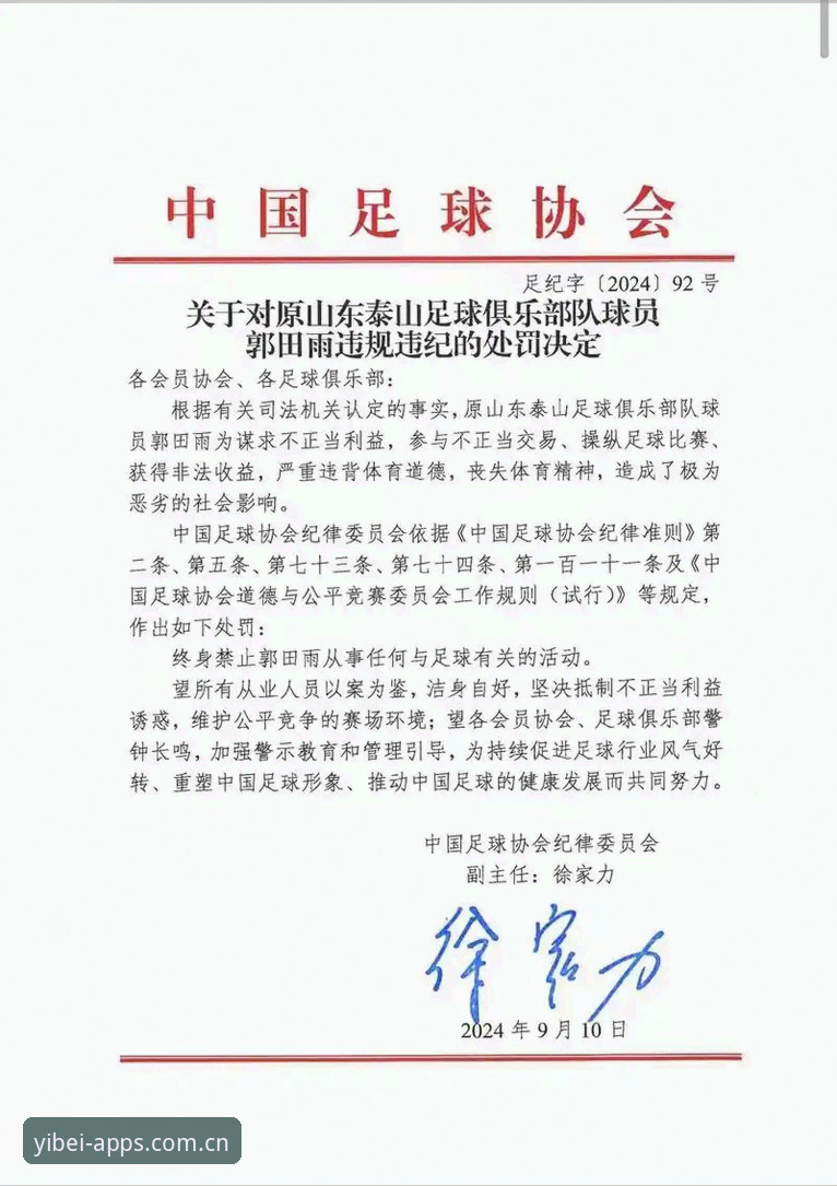 资深球迷分享：从足协第三批禁足名单看中国足球治理的深层逻辑